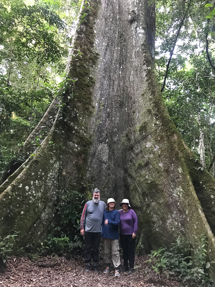 Peruvian Amazon