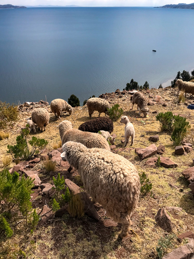 Taquile Island - Lake Titicaca