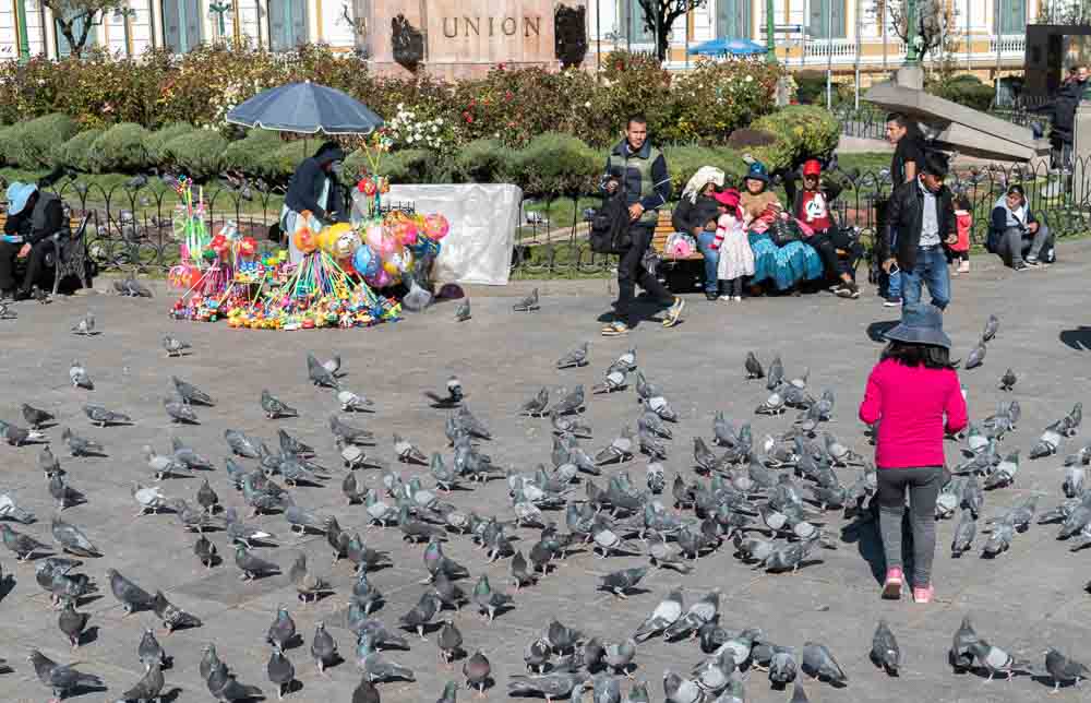Pigeons, Plaza Murillo