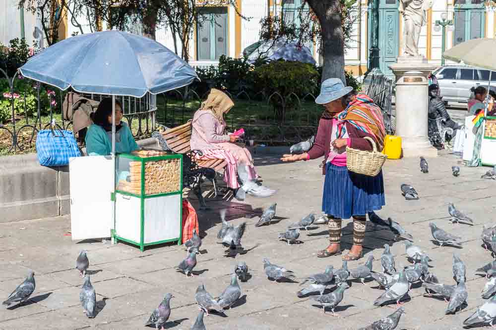 Pigeons, Plaza Murillo