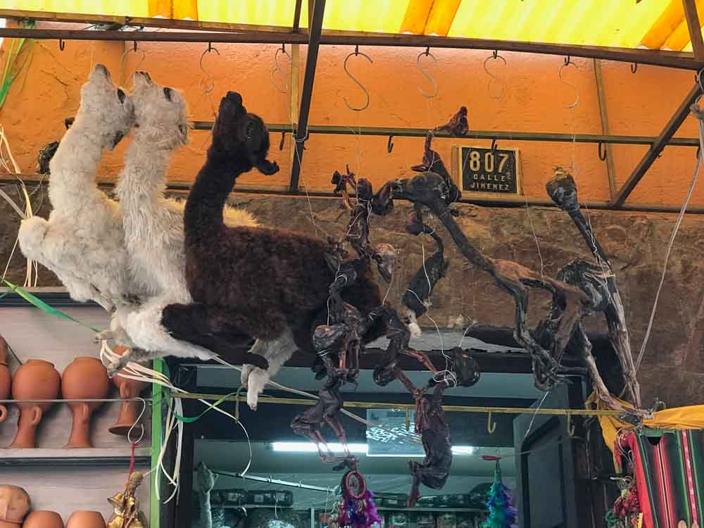Llama fetuses at the Witches' Market