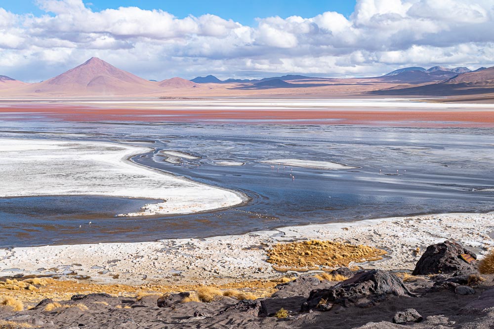 Red Lagoon