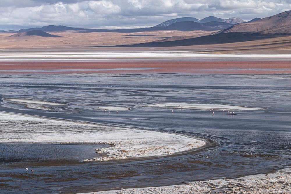 Red Lagoon