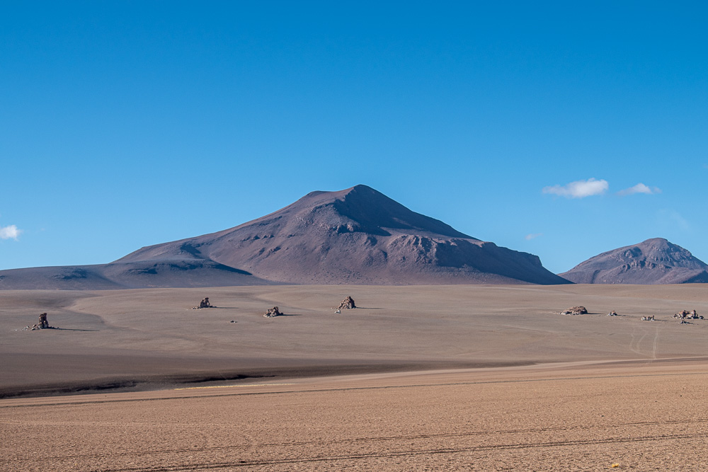 Salvador Dali Desert